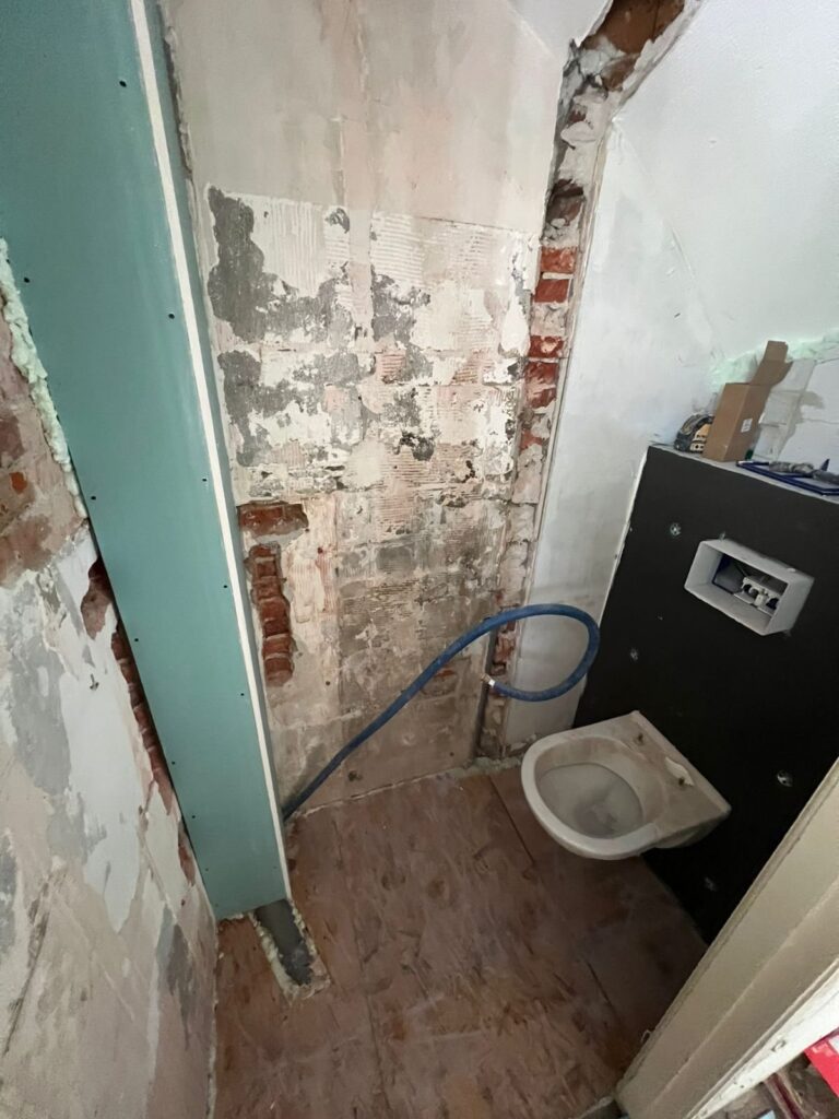Voor: Toilet gestript tot op de muur Den Haag
